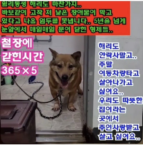 c7f5cabf9938b8d3cc32d065e6502e24_1662538776_2477.jpg c7f5cabf9938b8d3cc32d065e6502e24_1662538776_2477.jpg