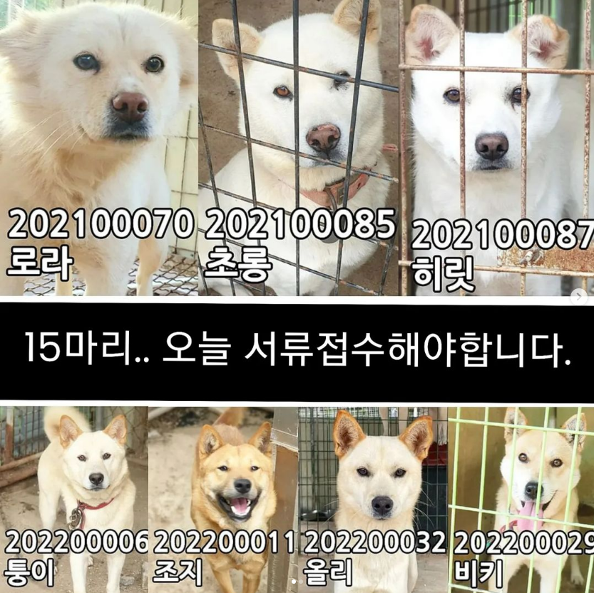 cbf1bcb05220d834a8c961fd839d527a_1669440221_6984.png cbf1bcb05220d834a8c961fd839d527a_1669440221_6984.png