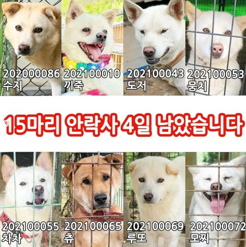 cbf1bcb05220d834a8c961fd839d527a_1669440222_2752.png cbf1bcb05220d834a8c961fd839d527a_1669440222_2752.png