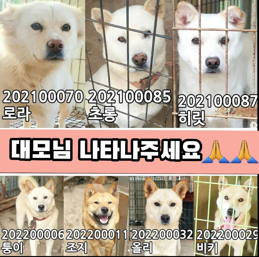 cbf1bcb05220d834a8c961fd839d527a_1669440530_2563.png cbf1bcb05220d834a8c961fd839d527a_1669440530_2563.png