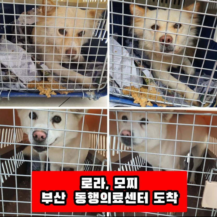 cbf1bcb05220d834a8c961fd839d527a_1669440697_0231.png cbf1bcb05220d834a8c961fd839d527a_1669440697_0231.png