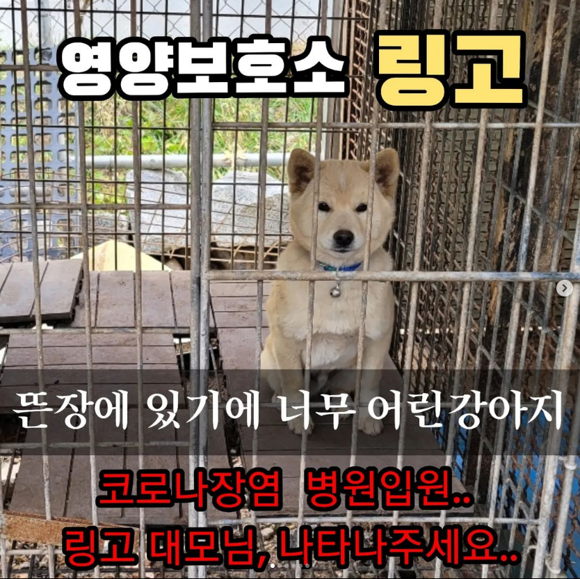 cbf1bcb05220d834a8c961fd839d527a_1669441399_3286.png cbf1bcb05220d834a8c961fd839d527a_1669441399_3286.png