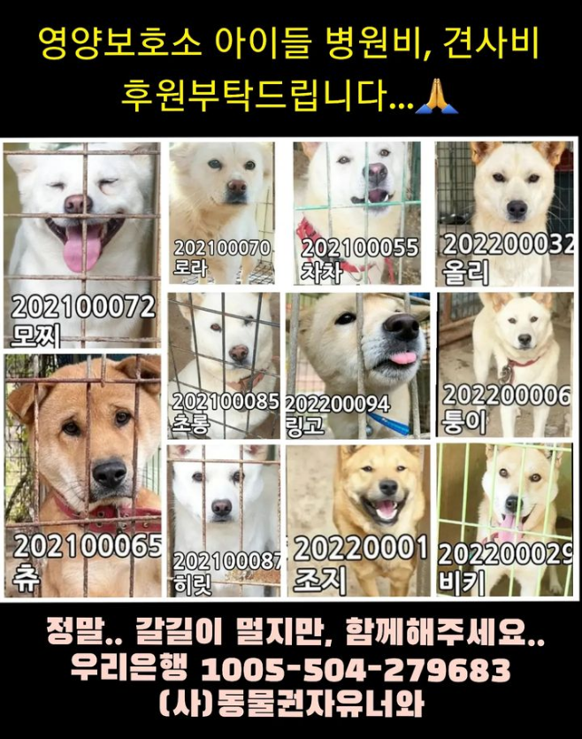 cbf1bcb05220d834a8c961fd839d527a_1669444020_1005.png cbf1bcb05220d834a8c961fd839d527a_1669444020_1005.png
