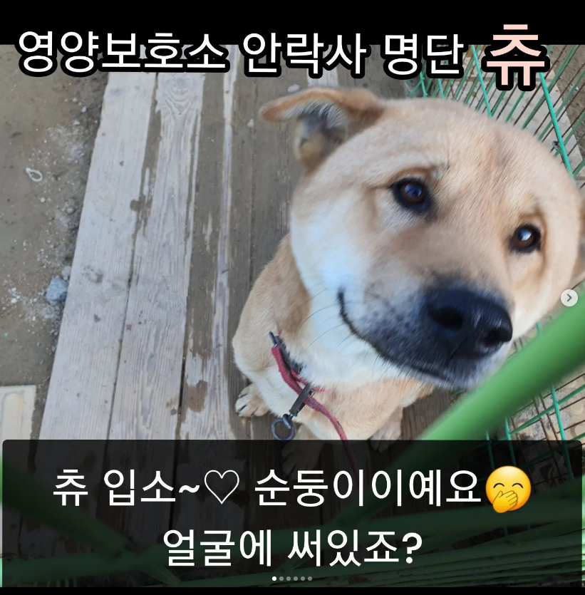cbf1bcb05220d834a8c961fd839d527a_1669448351_9158.png cbf1bcb05220d834a8c961fd839d527a_1669448351_9158.png