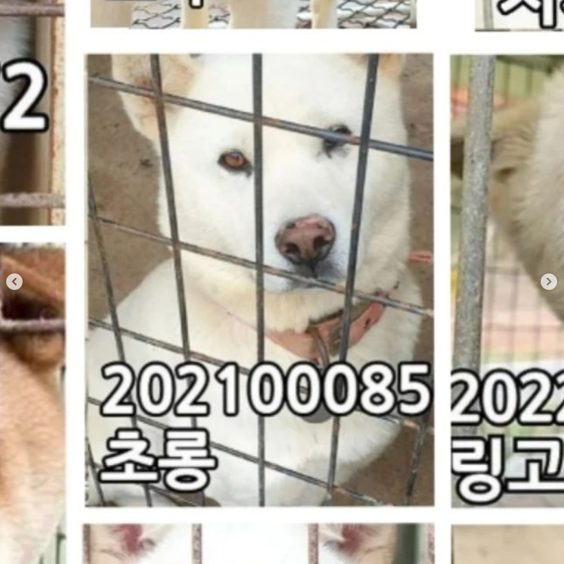 cbf1bcb05220d834a8c961fd839d527a_1669448874_6559.png cbf1bcb05220d834a8c961fd839d527a_1669448874_6559.png