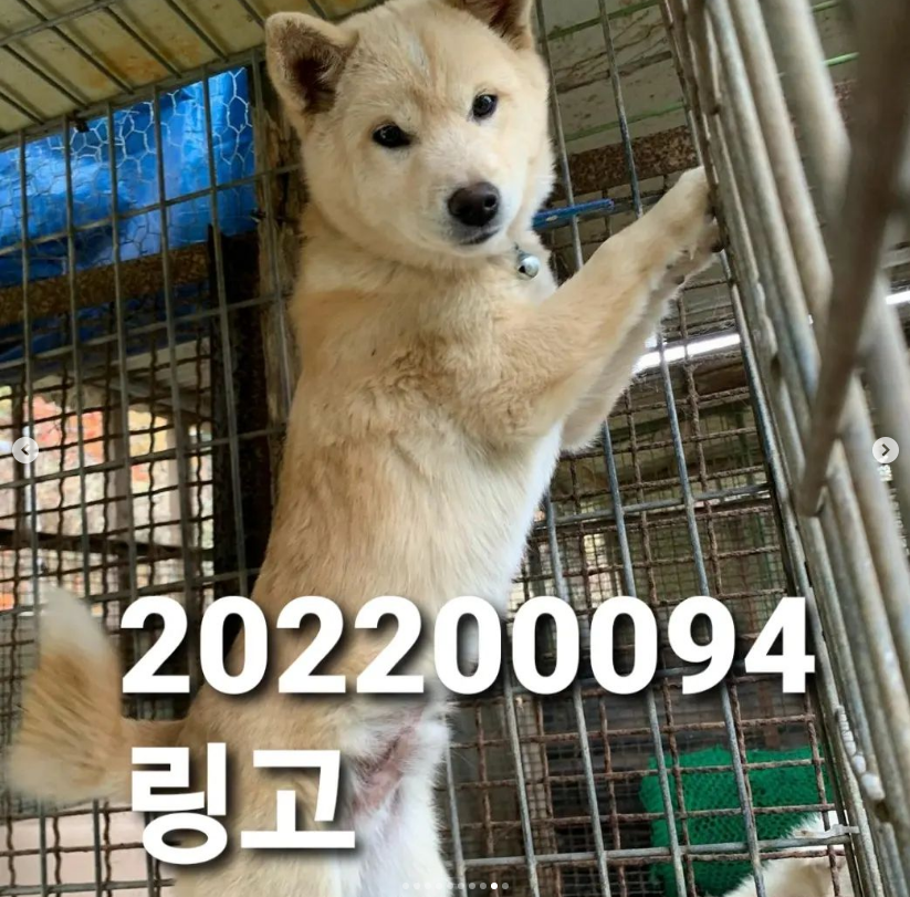 cbf1bcb05220d834a8c961fd839d527a_1669452427_5578.png cbf1bcb05220d834a8c961fd839d527a_1669452427_5578.png